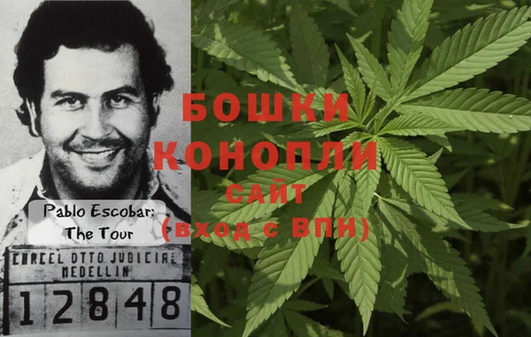 гидропоника Гусиноозёрск