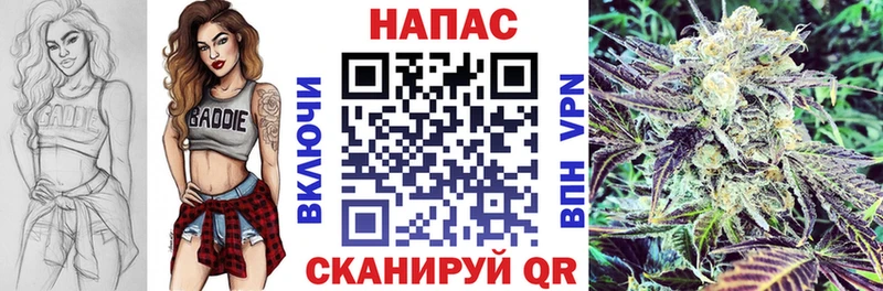 Конопля гибрид  Лихославль 
